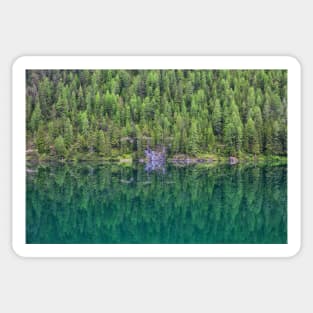 Trees at Lake Braies Sticker